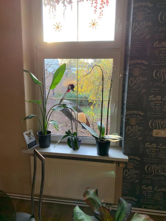 YourHome-PM Michendorf Extérieur photo